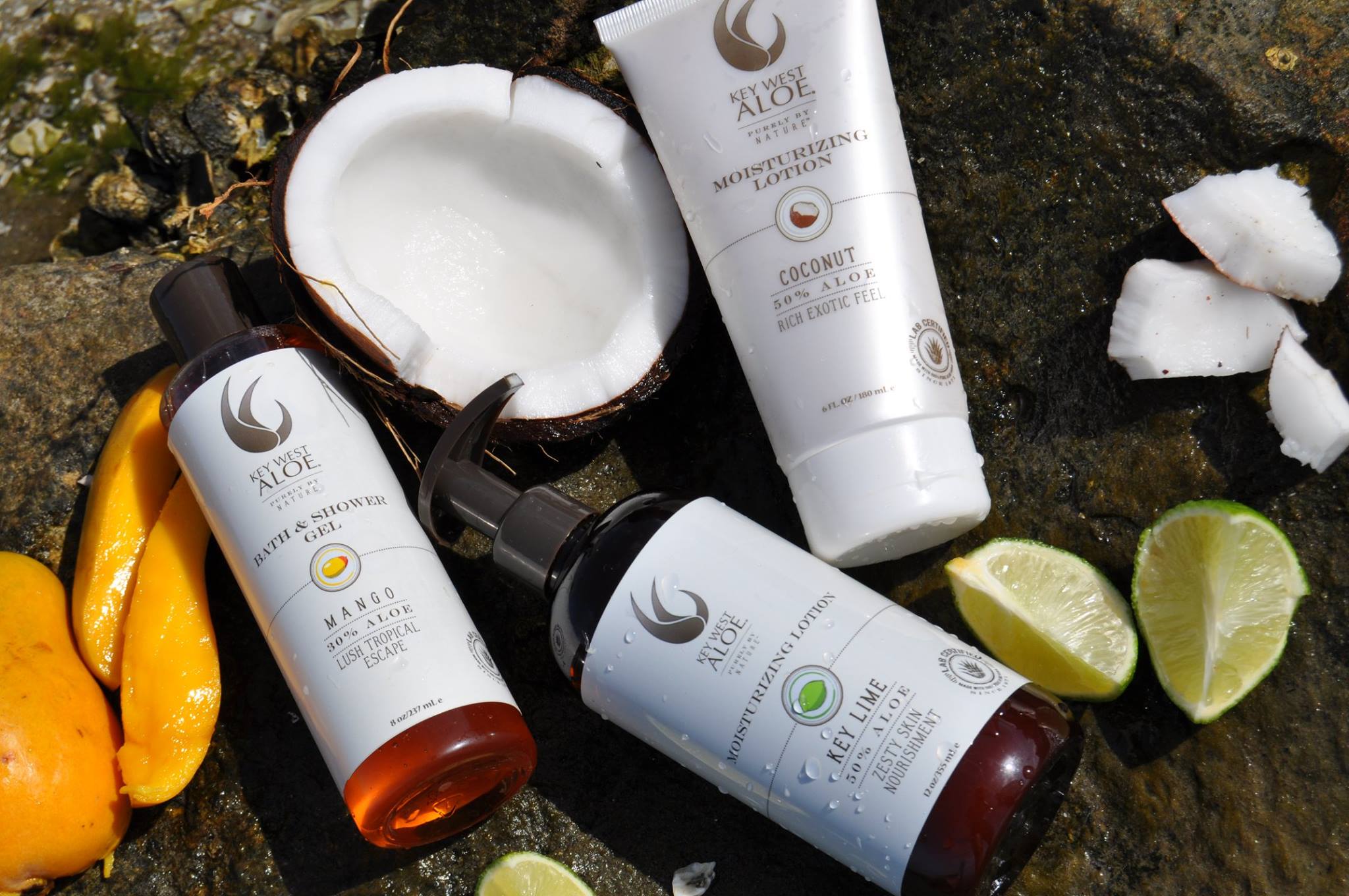 Key West Aloe banner