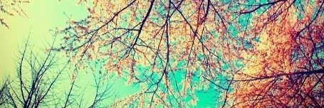 _IndiaSummer's profile banner image