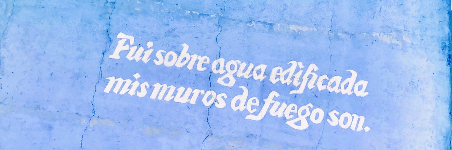 MaryAnne Pintar BA, MS banner