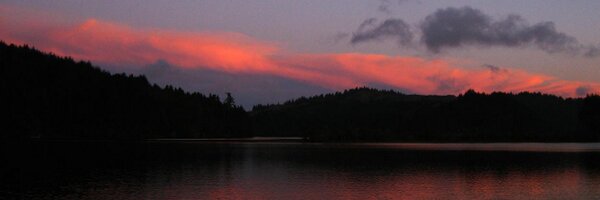 wshaver Profile Banner