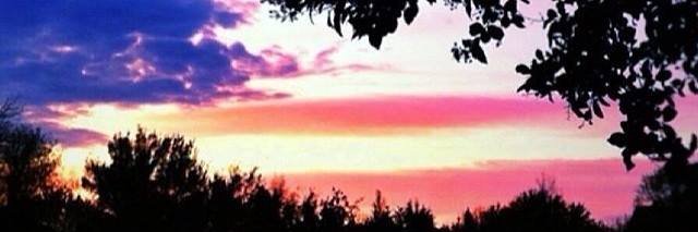 TeddyStarr1's profile banner image