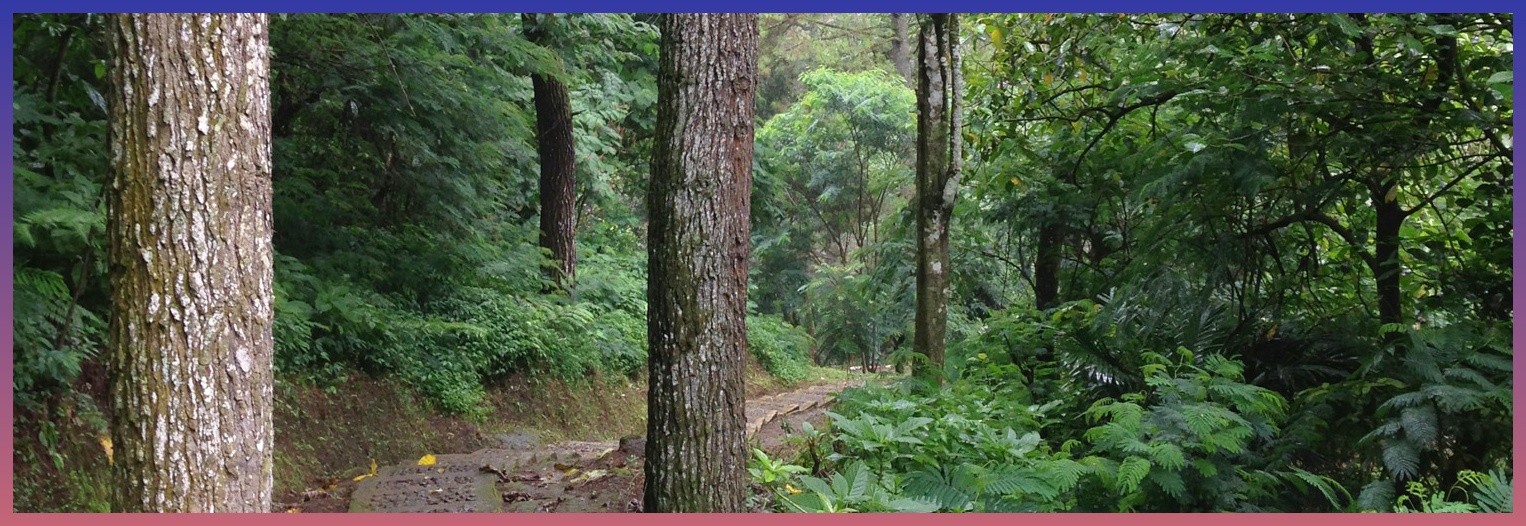 CarlyShayC's profile banner image