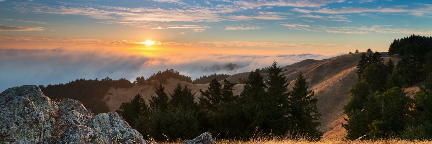 Marin Magazine banner