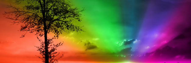 RadicalRosetta's profile banner image