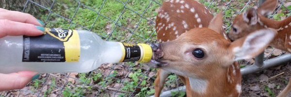 coolgolfguy Profile Banner