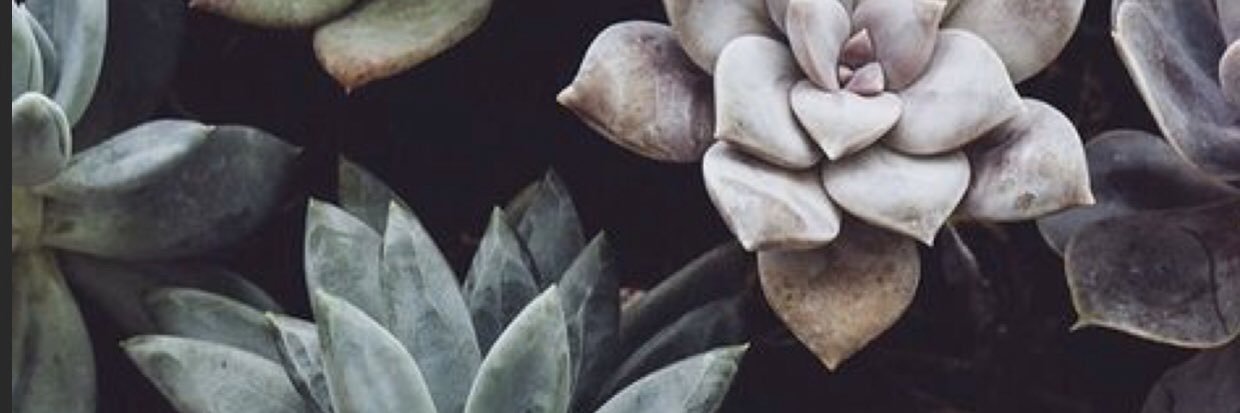 kylpud's profile banner image
