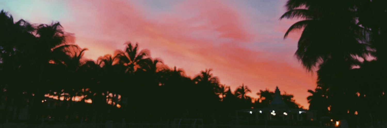 violetadelamata's profile banner image