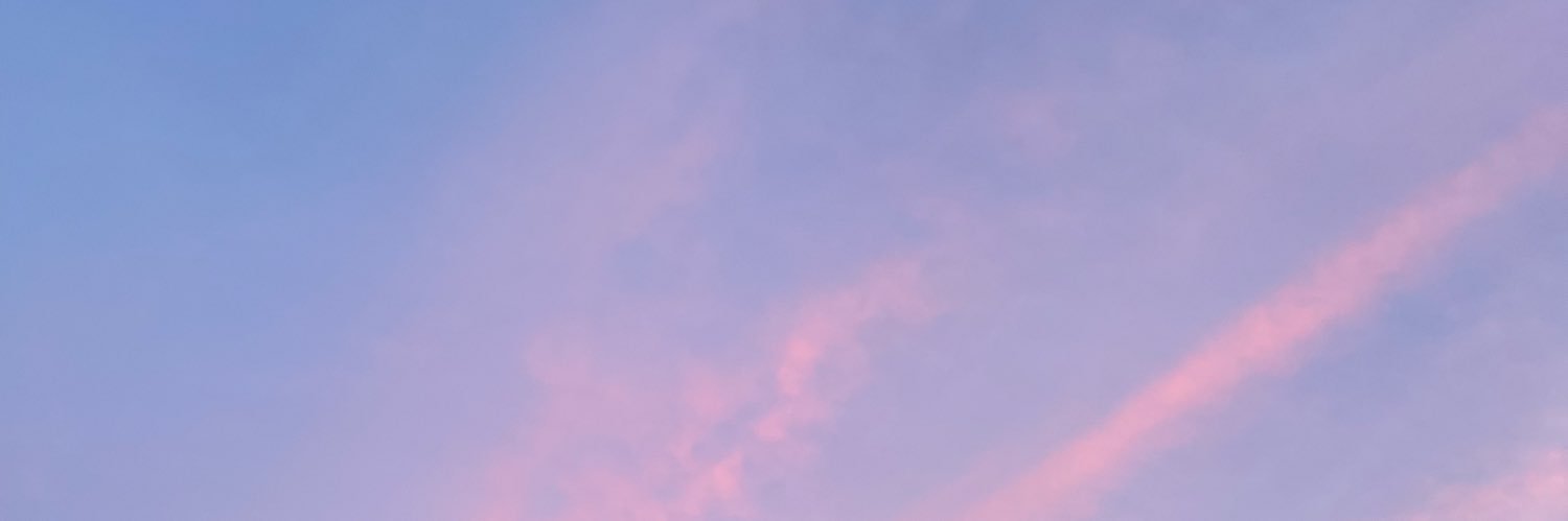 junniverse_'s profile banner image