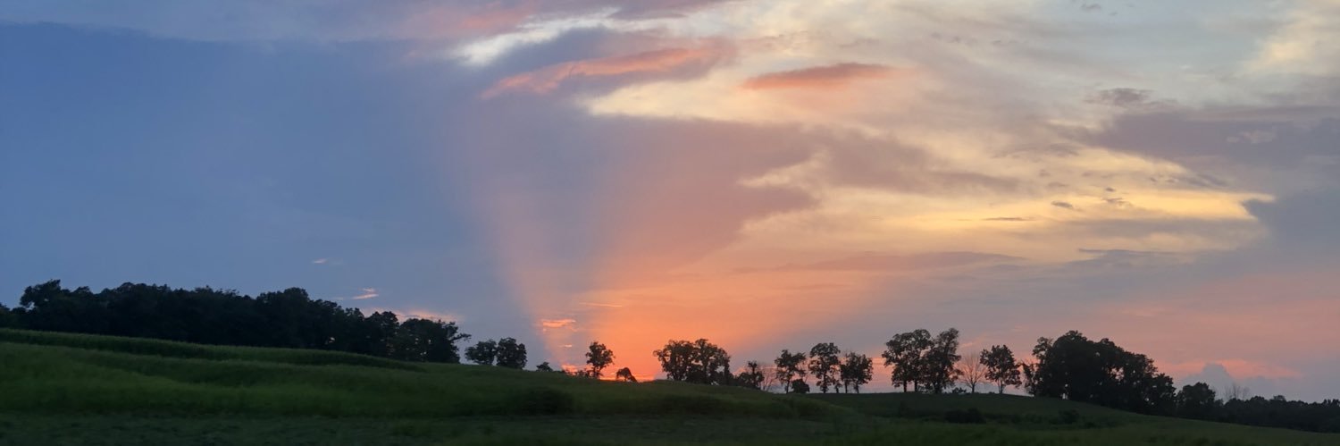 makemjellis's profile banner image