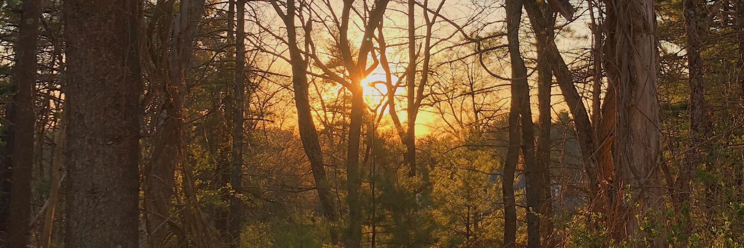 cojofo's profile banner image