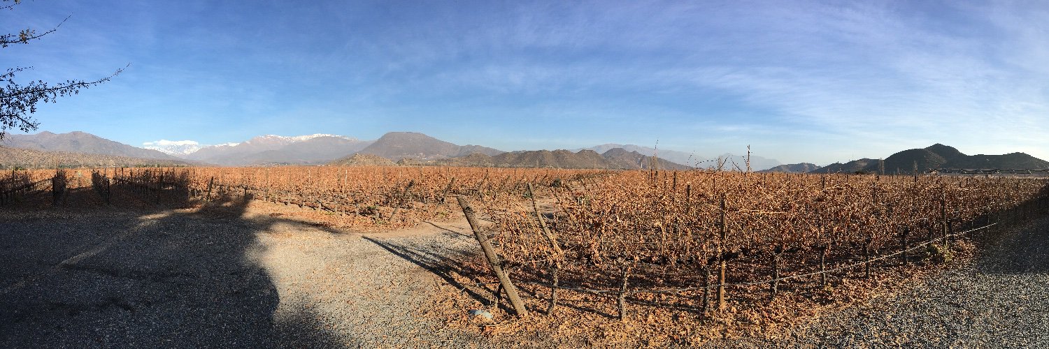 fbeijamini.bsky.social banner