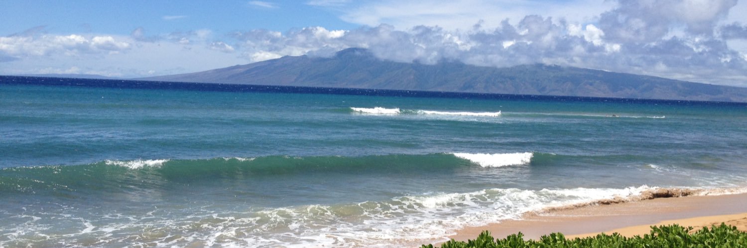 Steve K Buchanan banner