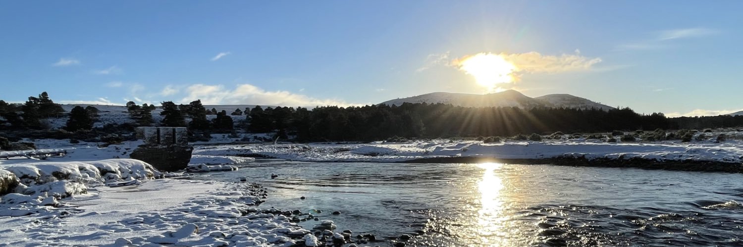 Steven Fallon banner