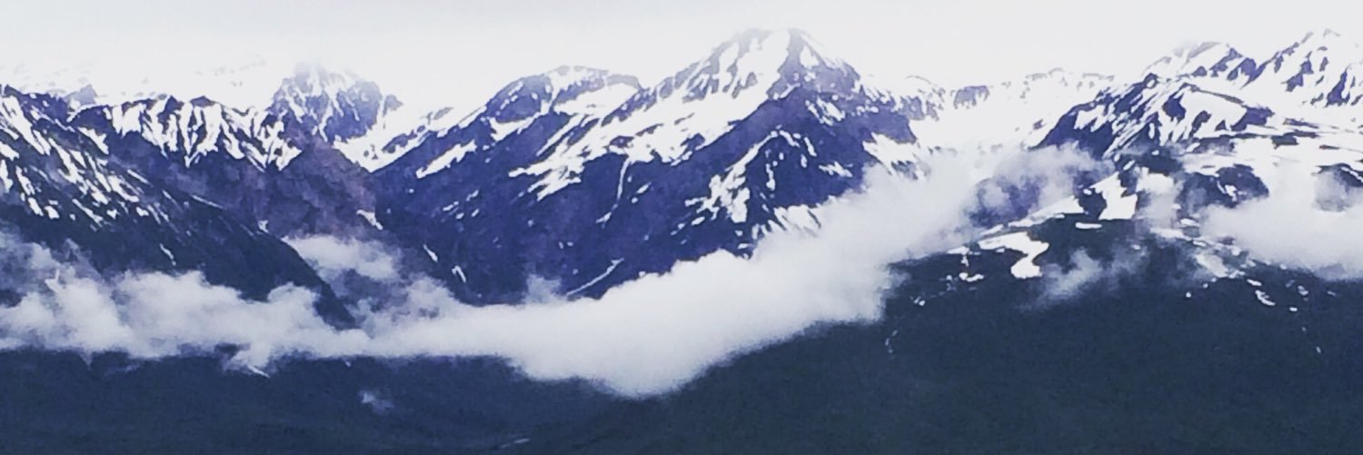 arevenstad's profile banner image