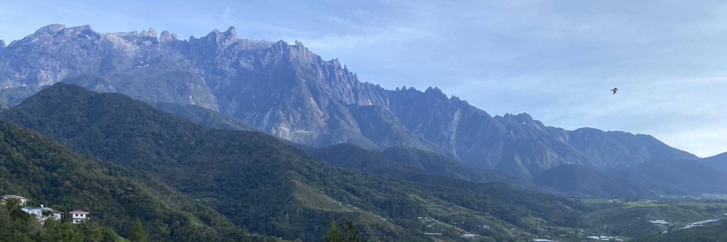 afqazmann's profile banner image