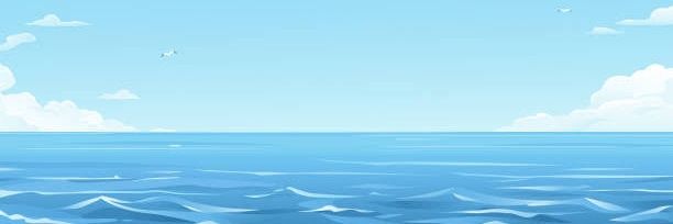 rorokidal's profile banner image