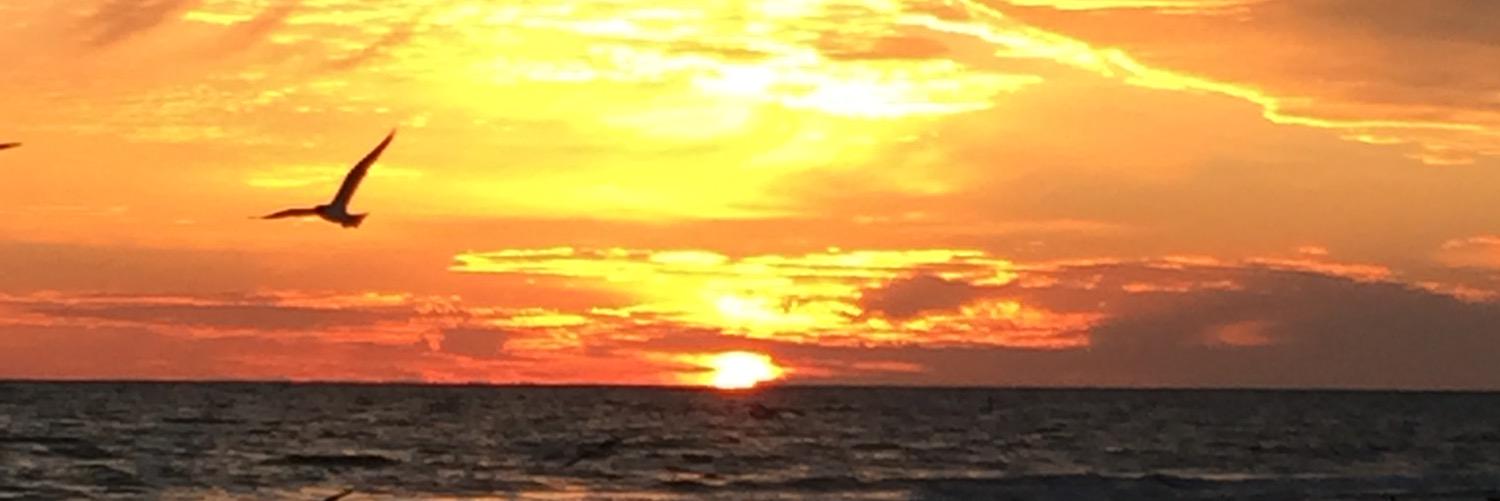 Drew_P15's profile banner image