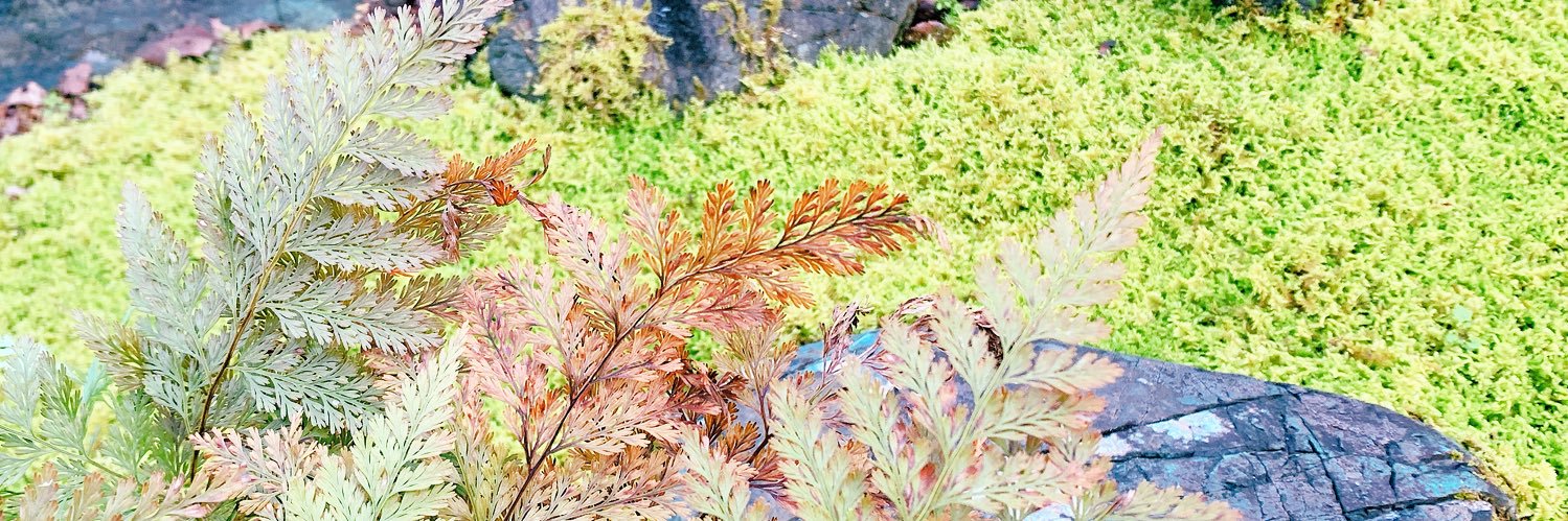 murarara67's profile banner image