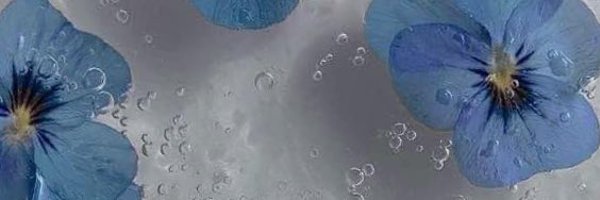 _MimiSweetheart Profile Banner