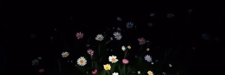 PPBB3487's profile banner image