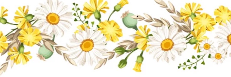KittyMama64's profile banner image