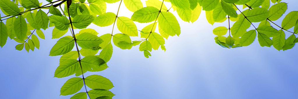 jetup1's profile banner image