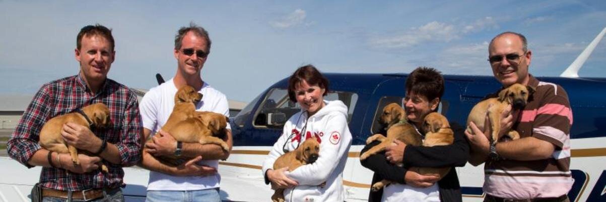 Pilots N Paws Canada banner