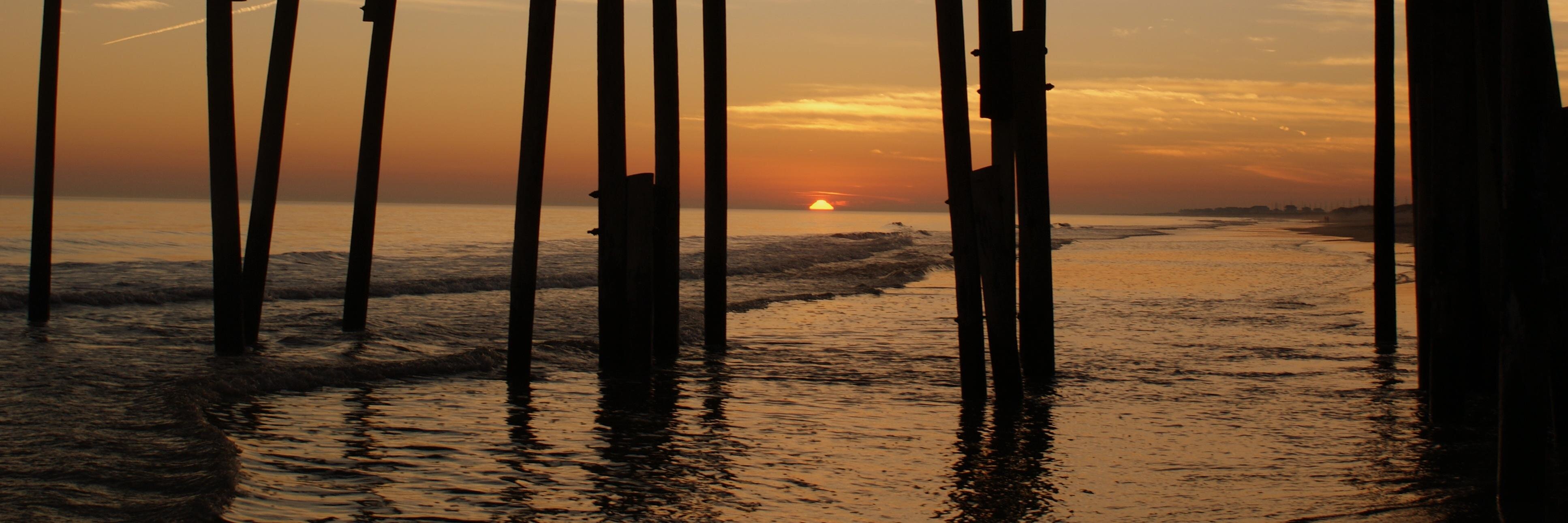 Stacie Taylor banner