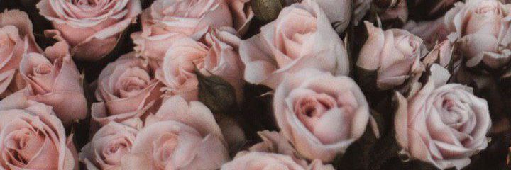 adgzjk's profile banner image