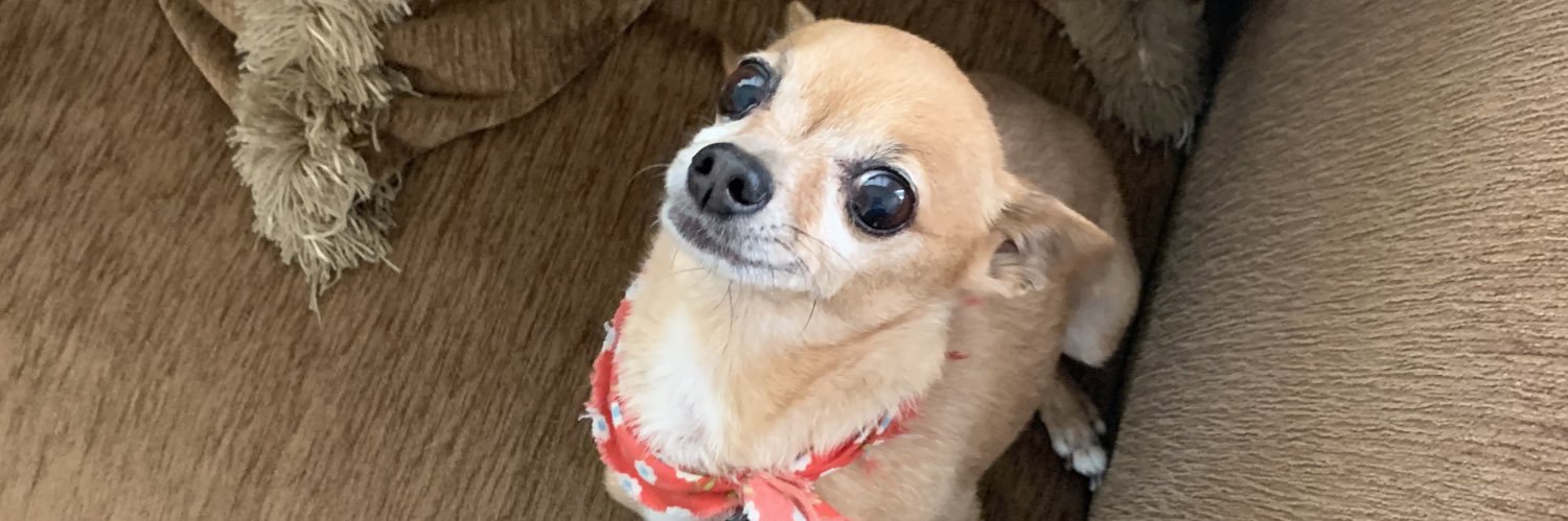 nataliaesf's profile banner image
