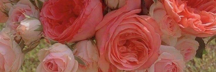 Roccieejay's profile banner image