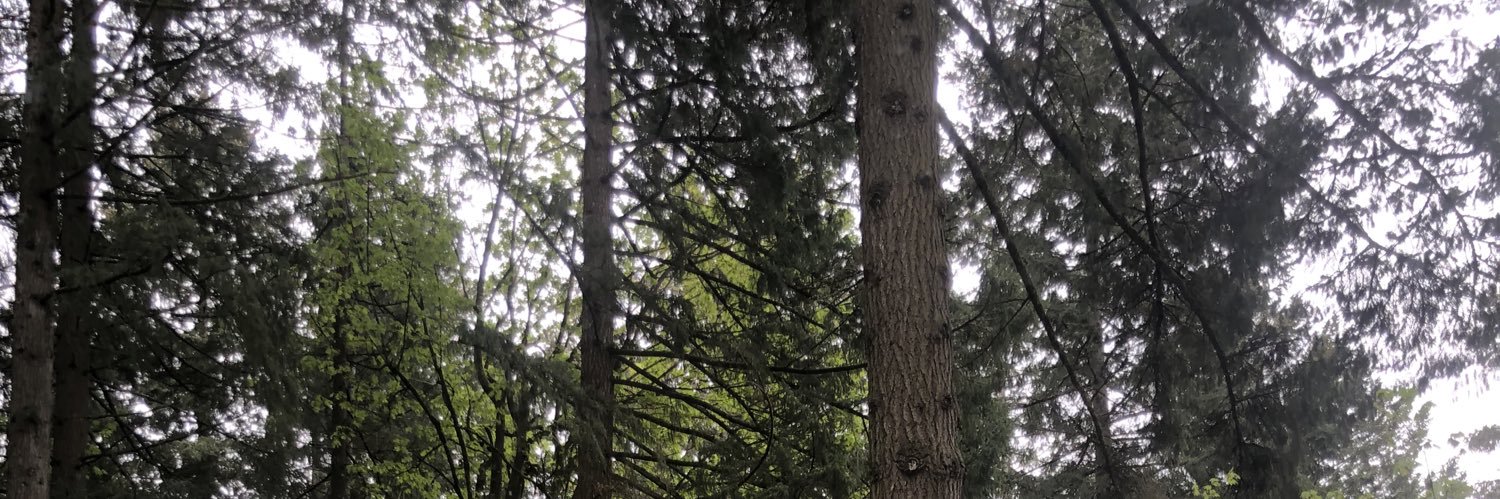 bradypomeroy's profile banner image