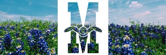 MetroplexAqua's profile banner image