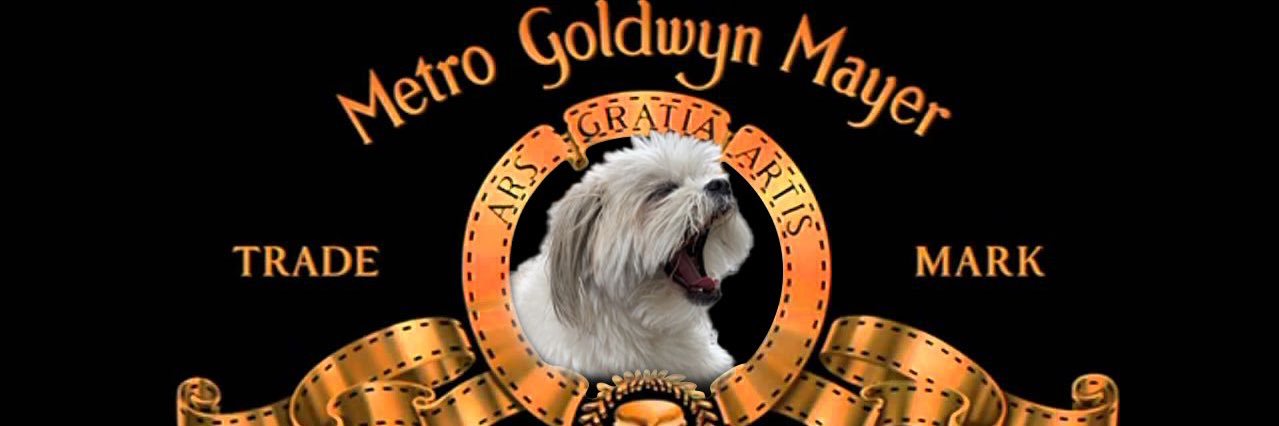 gabriella engoglia🌛🍄♏️🌞 banner