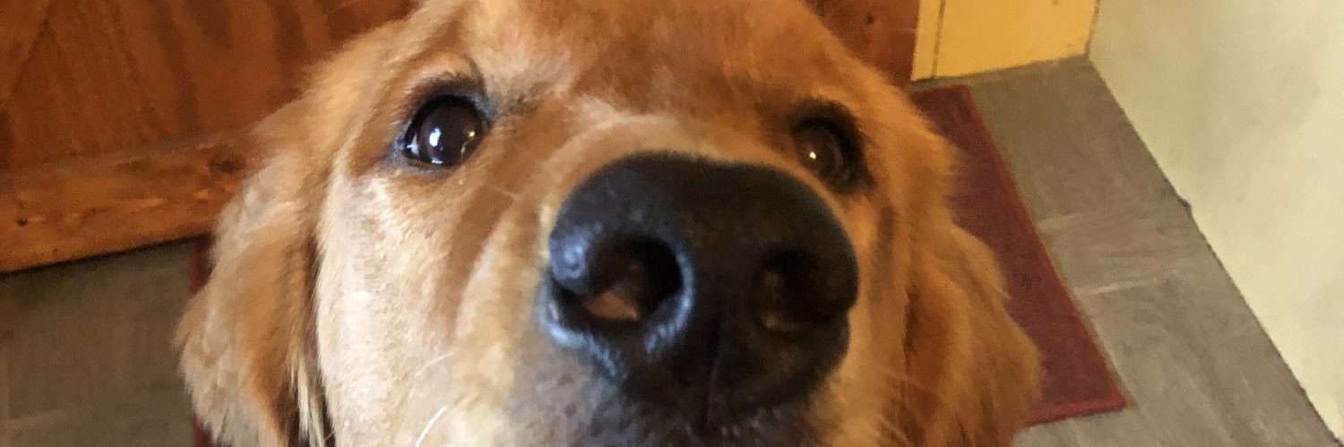 GriffithSabrina's profile banner image