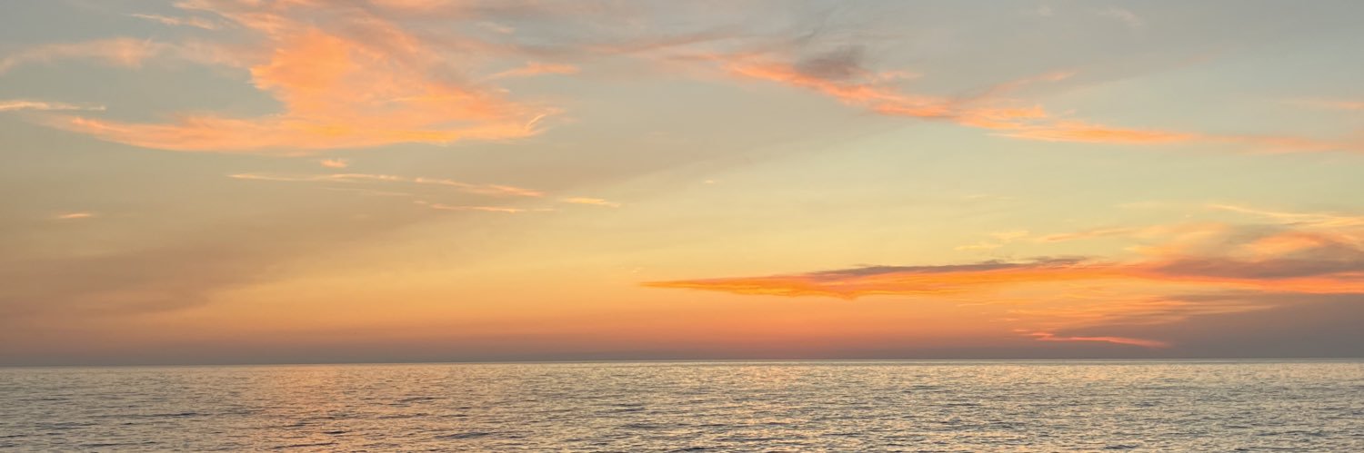 sarahschlacks's profile banner image