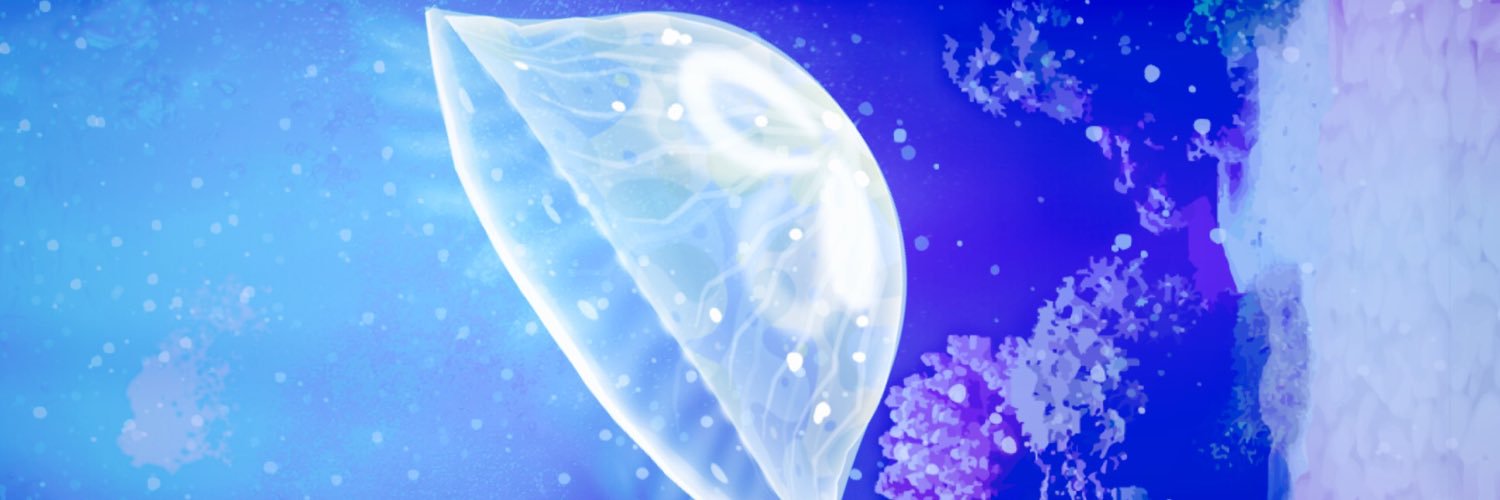 MarimoJellyfish's profile banner image