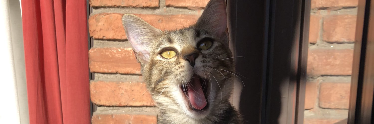 cerveramp's profile banner image