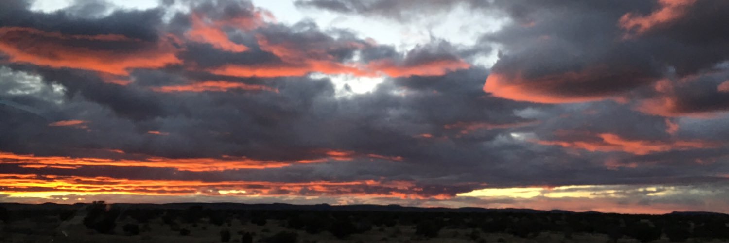 monisingi's profile banner image