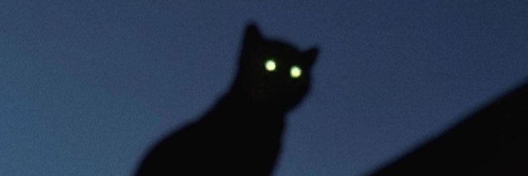 Colonel_pax's profile banner image