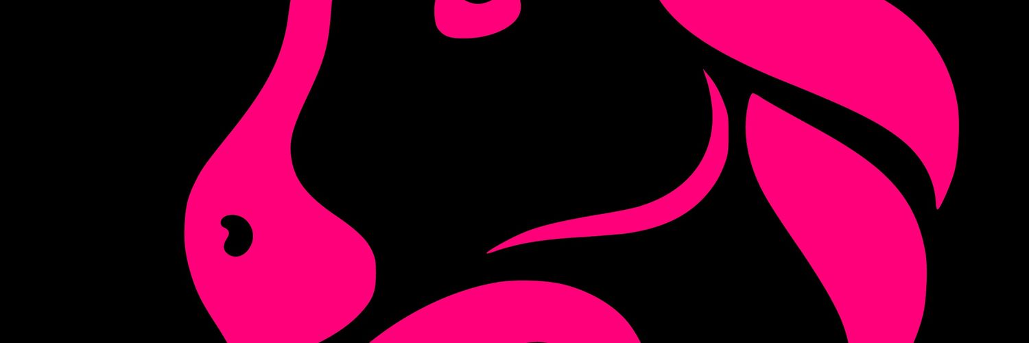 nihalabbas10's profile banner image