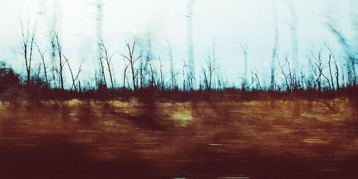 dollaraulva's profile banner image