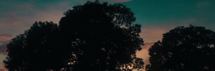 aliajustine's profile banner image