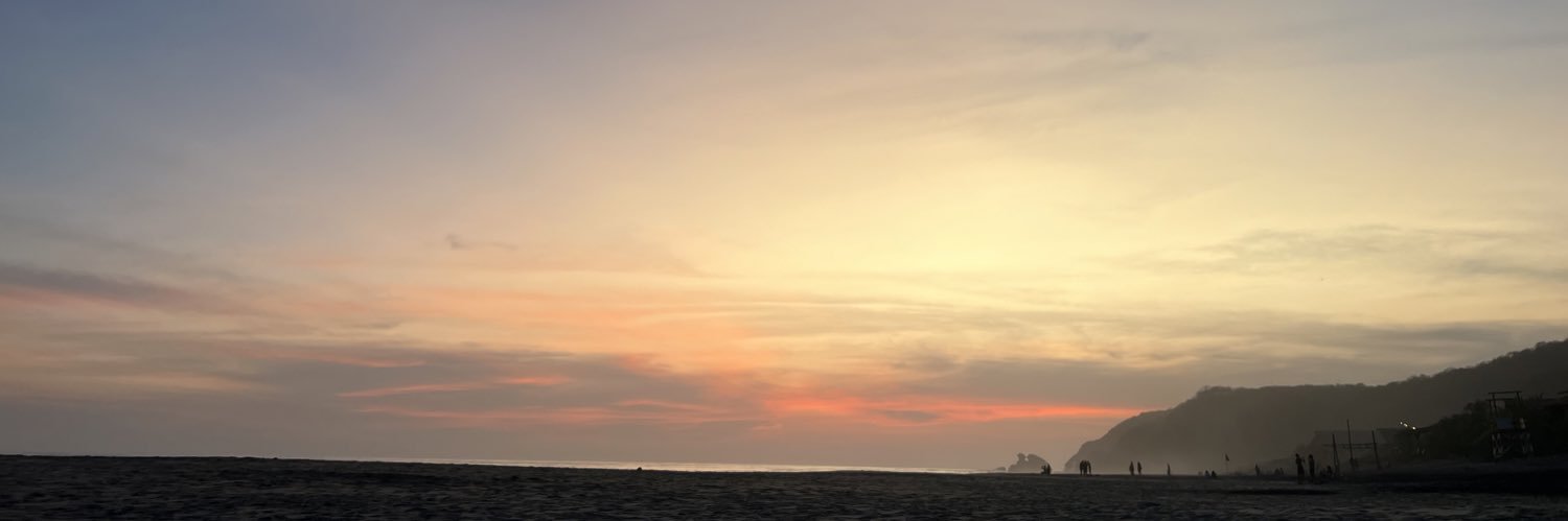 steph_regin's profile banner image