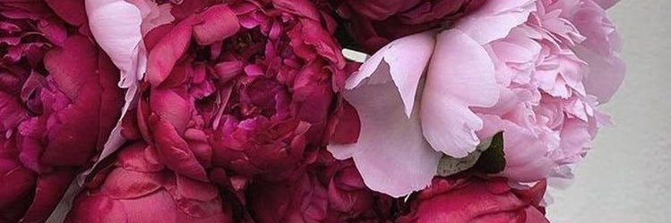 Hello__Vivi's profile banner image