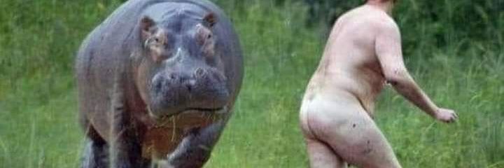 coolguyadrian's profile banner image