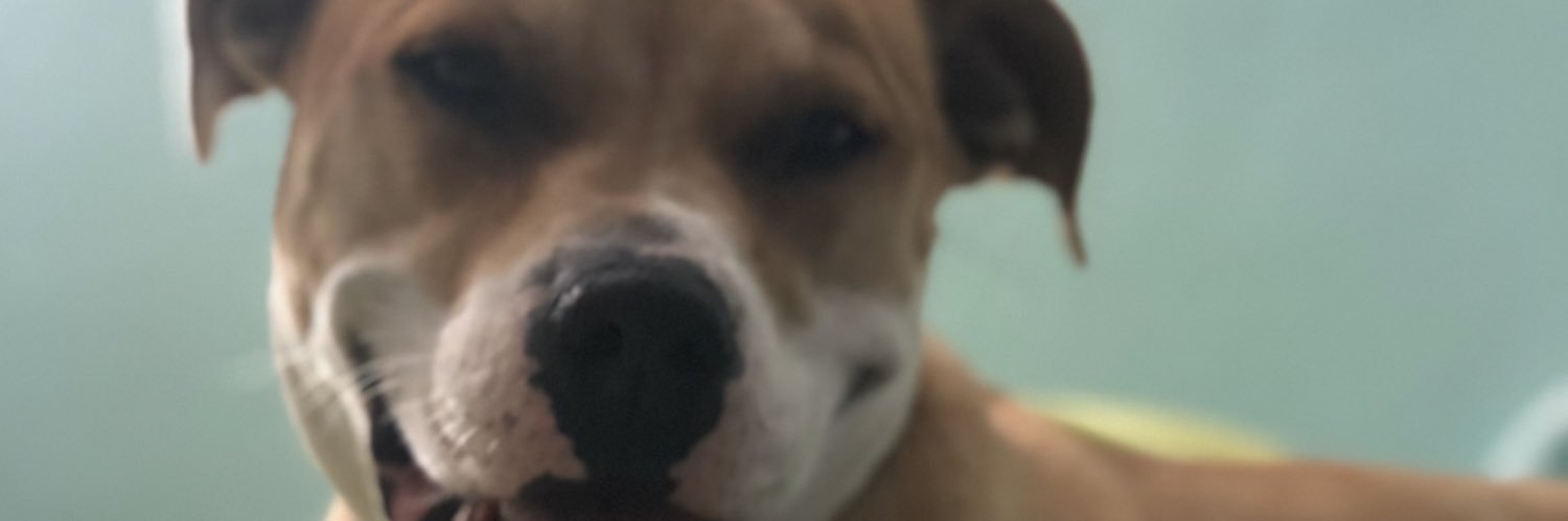 HSchnitker's profile banner image