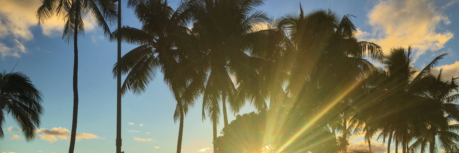 marissalee35's profile banner image