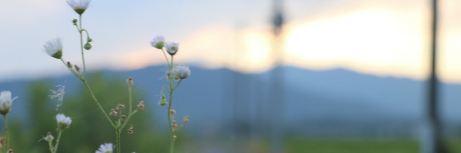 edcel5927's profile banner image