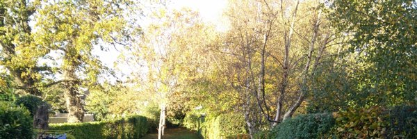 jubroderick Profile Banner